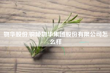 物华股份,铜陵物华集团股份有限公司怎么样