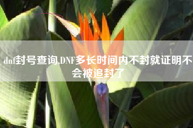 dnf封号查询,DNF多长时间内不封就证明不会被追封了