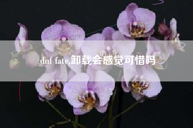 dnf fate,卸载会感觉可惜吗