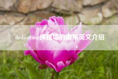 dedication,佛跳墙的由来英文介绍