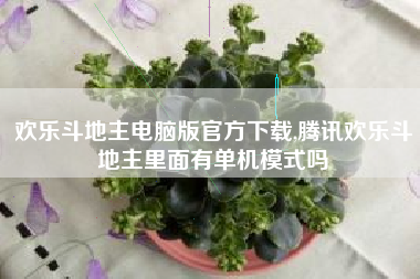 欢乐斗地主电脑版官方下载,腾讯欢乐斗地主里面有单机模式吗