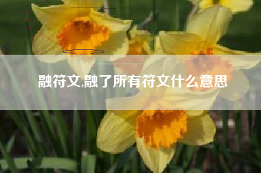 融符文,融了所有符文什么意思