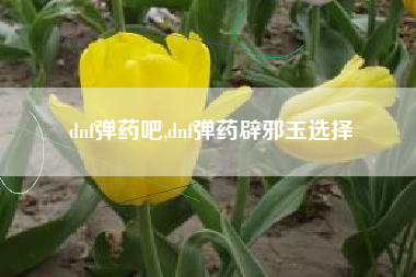 dnf弹药吧,dnf弹药辟邪玉选择