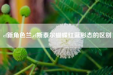 cf新角色兰,cf斯泰尔蝴蝶红蓝形态的区别