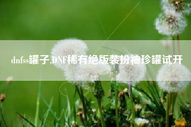 dnfss罐子,DNF稀有绝版装扮袖珍罐试开