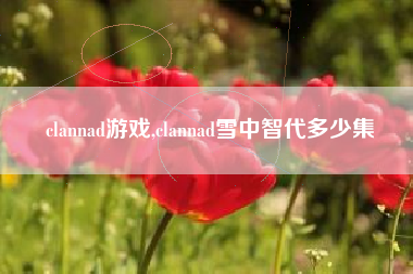 clannad游戏,clannad雪中智代多少集