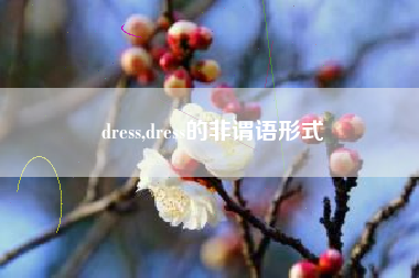 dress,dress的非谓语形式