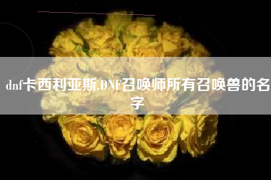 dnf卡西利亚斯,DNF召唤师所有召唤兽的名字