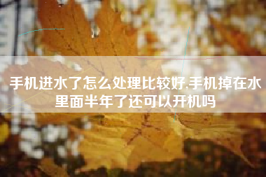 手机进水了怎么处理比较好,手机掉在水里面半年了还可以开机吗