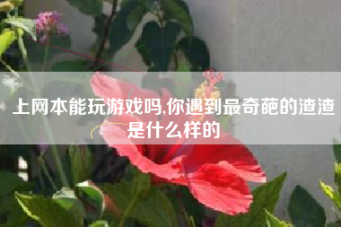 上网本能玩游戏吗,你遇到最奇葩的渣渣是什么样的