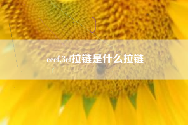 cccf,3cf拉链是什么拉链