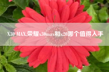 X30 MAX,荣耀x30max和x20哪个值得入手