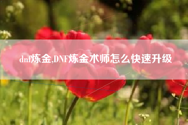 dnf炼金,DNF炼金术师怎么快速升级