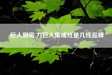 巨人厨房,力巨人集成灶是几线品牌