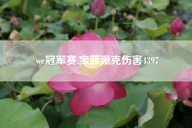 we冠军赛,宝蓝派克伤害4397