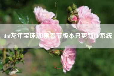 dnf龙年宝珠,如果春节版本只更新CP系统