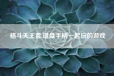 格斗天王套,键盘手柄一起玩的游戏