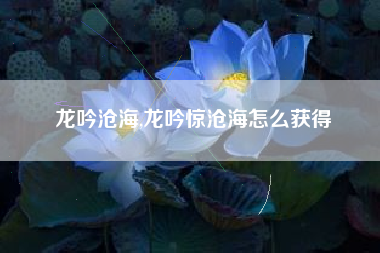 龙吟沧海,龙吟惊沧海怎么获得