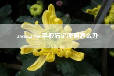 aoson,aoson平板忘记密码怎么办