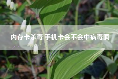 内存卡杀毒,手机卡会不会中病毒啊