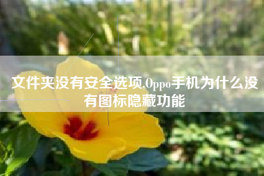 文件夹没有安全选项,Oppo手机为什么没有图标隐藏功能