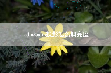 odin3,odin投影怎么调亮度