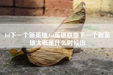 lol下一个新英雄,lol英雄联盟下一个新英雄大概是什么时候出