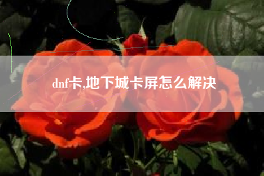 dnf卡,地下城卡屏怎么解决