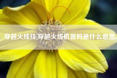 穿越火线挂,穿越火线机器码是什么意思