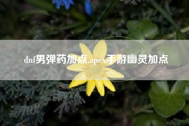 dnf男弹药加点,apex手游幽灵加点