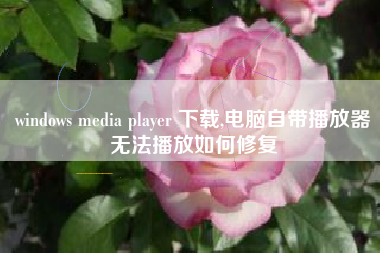 windows media player 下载,电脑自带播放器无法播放如何修复