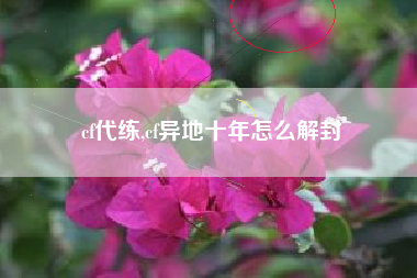 cf代练,cf异地十年怎么解封