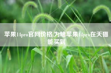 苹果14pro官网价格,为啥苹果14pro在天猫能买到