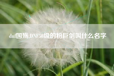 dnf国殇,DNF50级的粉巨剑叫什么名字