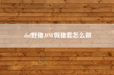 dnf野猪,DNF假猪套怎么做