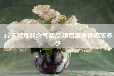 dnf未精炼的念气结晶,银耳罐头红糖放多少