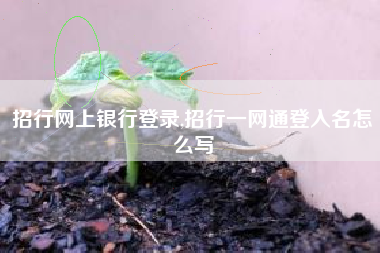 招行网上银行登录,招行一网通登入名怎么写