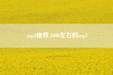 mp3推荐,1000左右的mp3