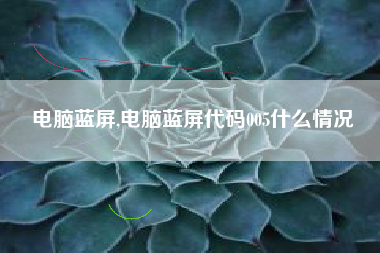 电脑蓝屏,电脑蓝屏代码005什么情况