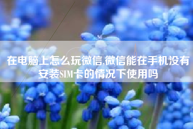 在电脑上怎么玩微信,微信能在手机没有安装SIM卡的情况下使用吗