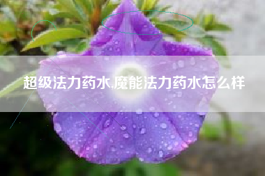 超级法力药水,魔能法力药水怎么样