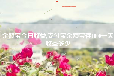 余额宝今日收益,支付宝余额宝存1000一天收益多少