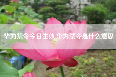 华为禁令今日生效,华为禁令是什么意思