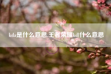 kda是什么意思,王者荣耀kdl什么意思