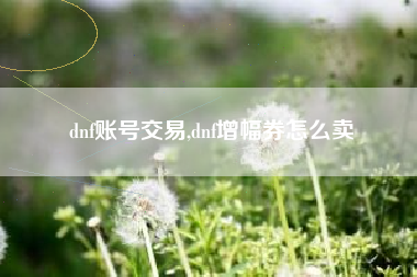 dnf账号交易,dnf增幅券怎么卖