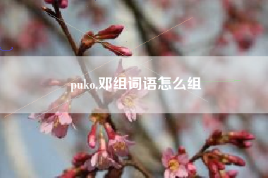 puko,邓组词语怎么组