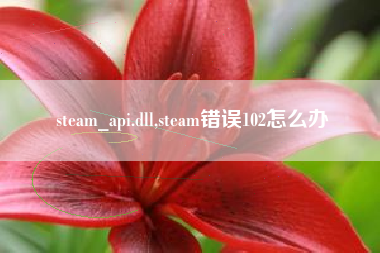 steam_api.dll,steam错误102怎么办