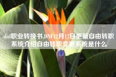 dnf职业转换书,DNF12月17日更新自由转职系统介绍自由转职变更系统是什么