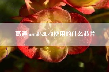 高通msm8628,x3l使用的什么芯片