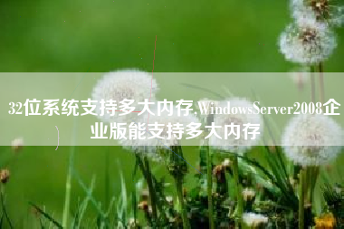 32位系统支持多大内存,WindowsServer2008企业版能支持多大内存